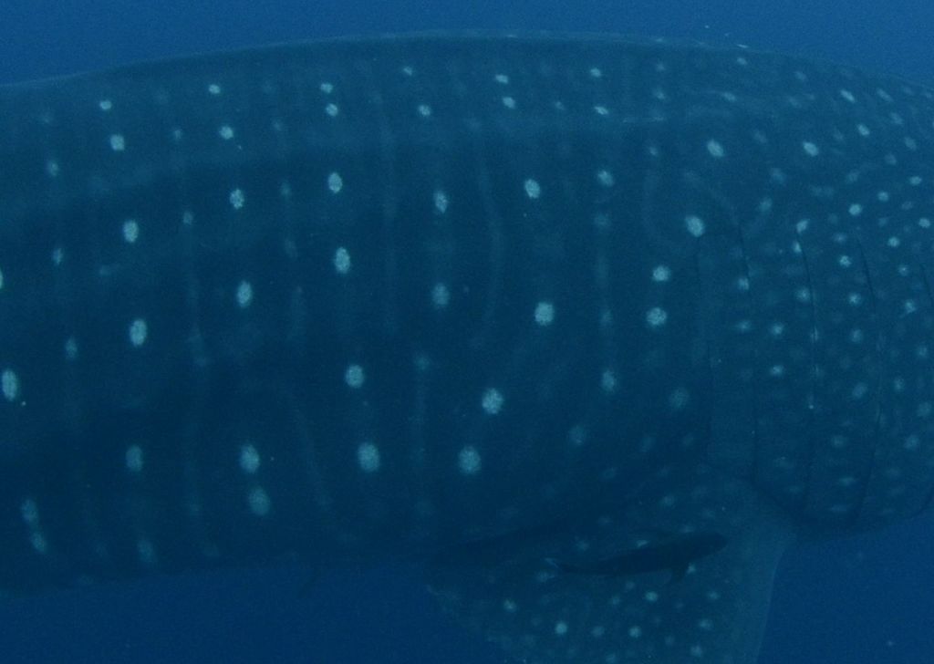 f7f350fb-0870-4d23-b5eb-7d6b5a240cca