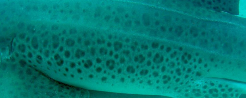 6cfd2ca6-e281-40ca-a79e-6d62d528adf1