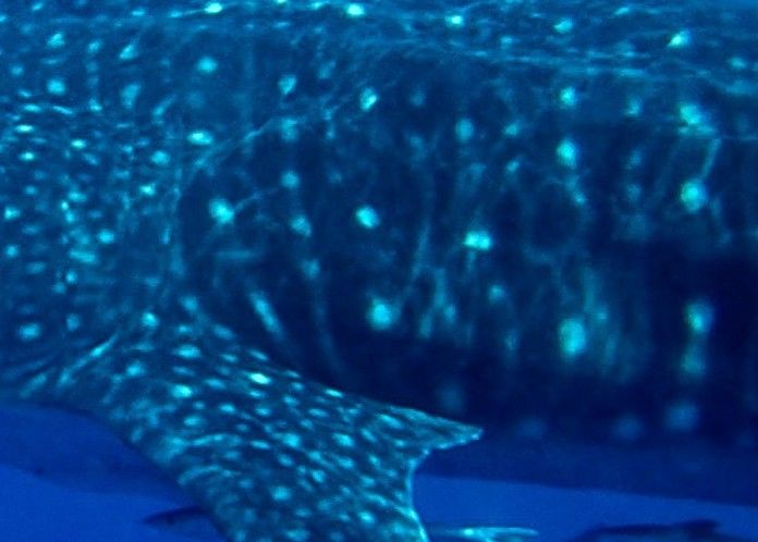 261d9b85-ccd5-40be-aa4d-500f06f2c0dc