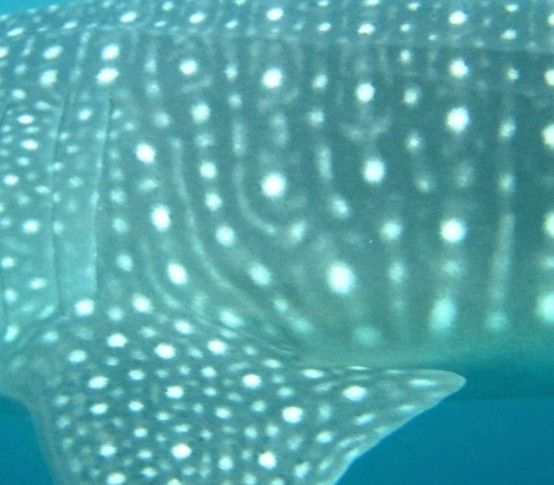 aba8887a-f23c-4703-a725-db83afbecc87