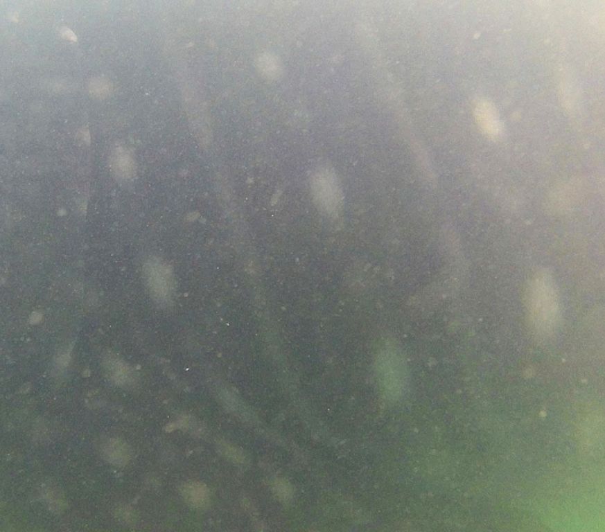 fa441fad-2ab2-4fda-bdca-c91fad095464