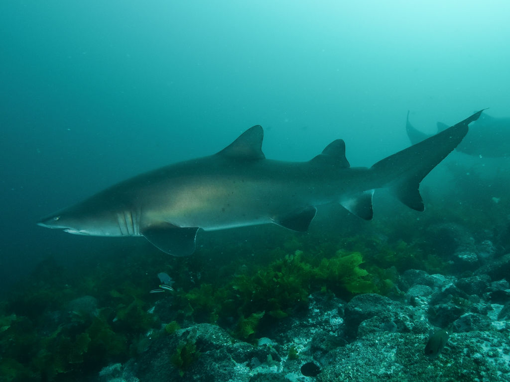 0b7c13e4-c46d-4557-8dab-9b7b21cafb93