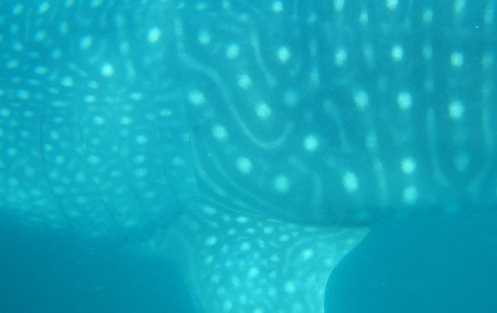 f9f66b27-b6ce-4e58-953c-42ed56e979dd