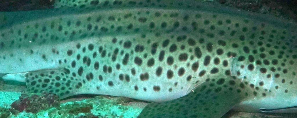 8e26bfbc-f304-49e6-a781-66233c596e78