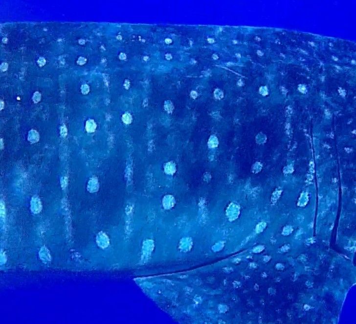 1c85d389-e54d-498b-b934-773dc43b55d3