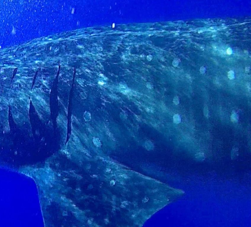 1c85d389-e54d-498b-b934-773dc43b55d3