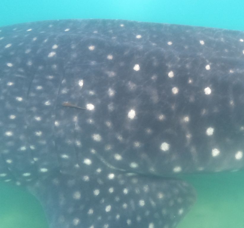 01d97bca-2a1a-48c0-99f8-c5b54a33304d