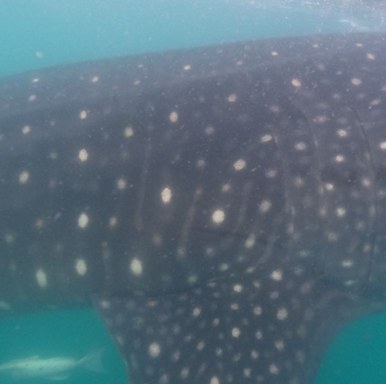 01d97bca-2a1a-48c0-99f8-c5b54a33304d