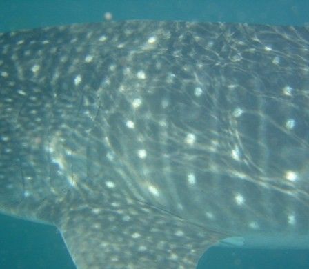 5547c05e-2c2d-4228-b28a-88c31dce8c5d