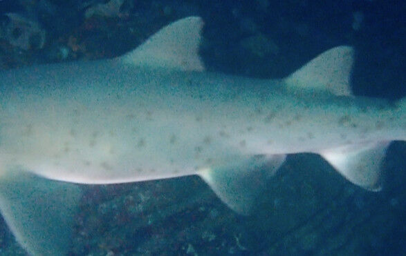 36ce8e72-cde3-4b3b-855d-64fa0fdf9629