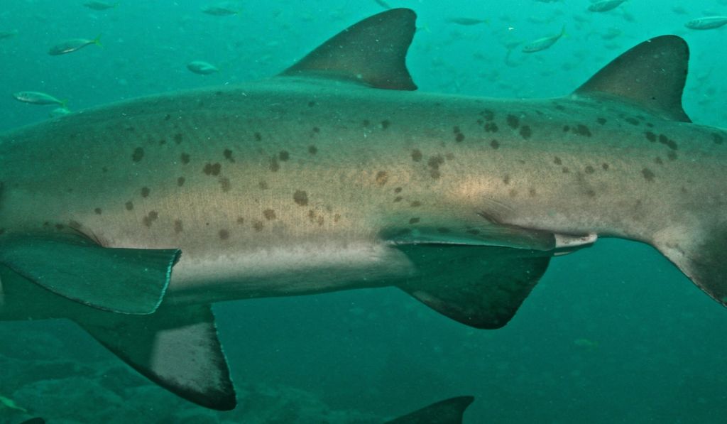 7997d142-d7fb-4fe1-a949-b28bfb994a49