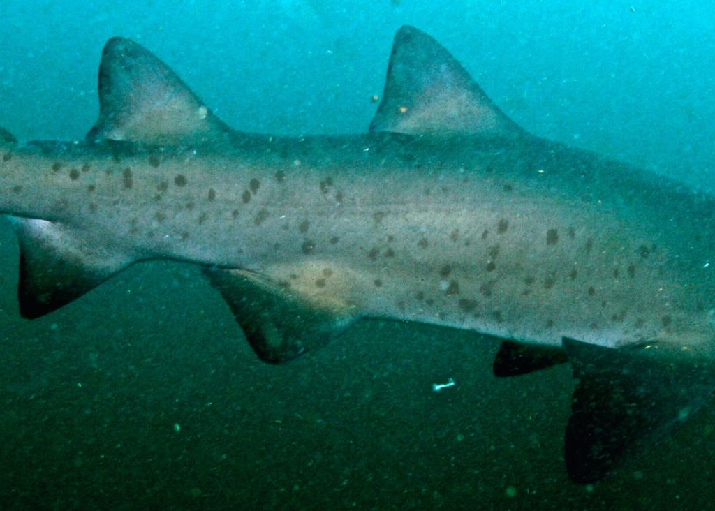 8c6d8e87-3cbf-40b4-9666-f5bedf6532c0