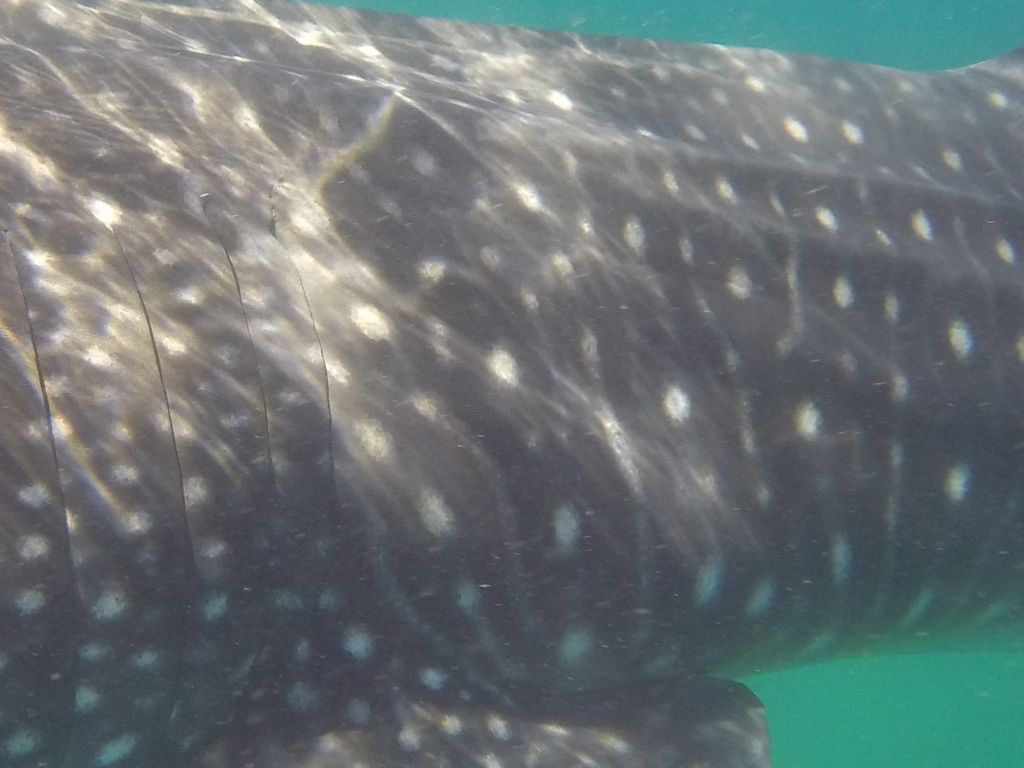 05f47b99-48ab-4f6f-830b-9d7b55887bb6