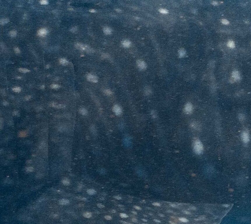 27a55789-a9ff-4424-bc6c-748062dd01a1