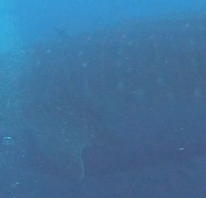 83182f3a-e999-4cd6-b867-075def96b870