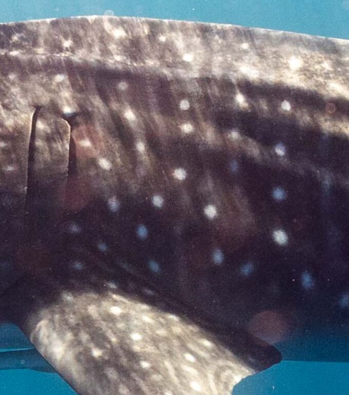 f1384e8e-4a1d-4a9f-809c-2330ad0e13c1