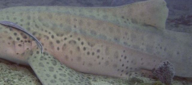 3ed7f369-a7c0-49e5-86a3-beae779aed89