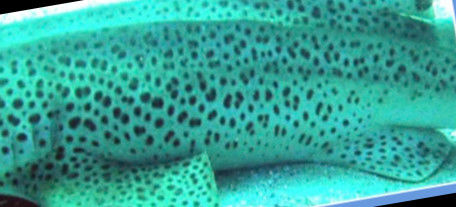 ac6b9f80-21e0-41f8-a157-8aae584ba00b