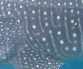 2567d51a-8c77-4d19-866e-f23620f5ce85