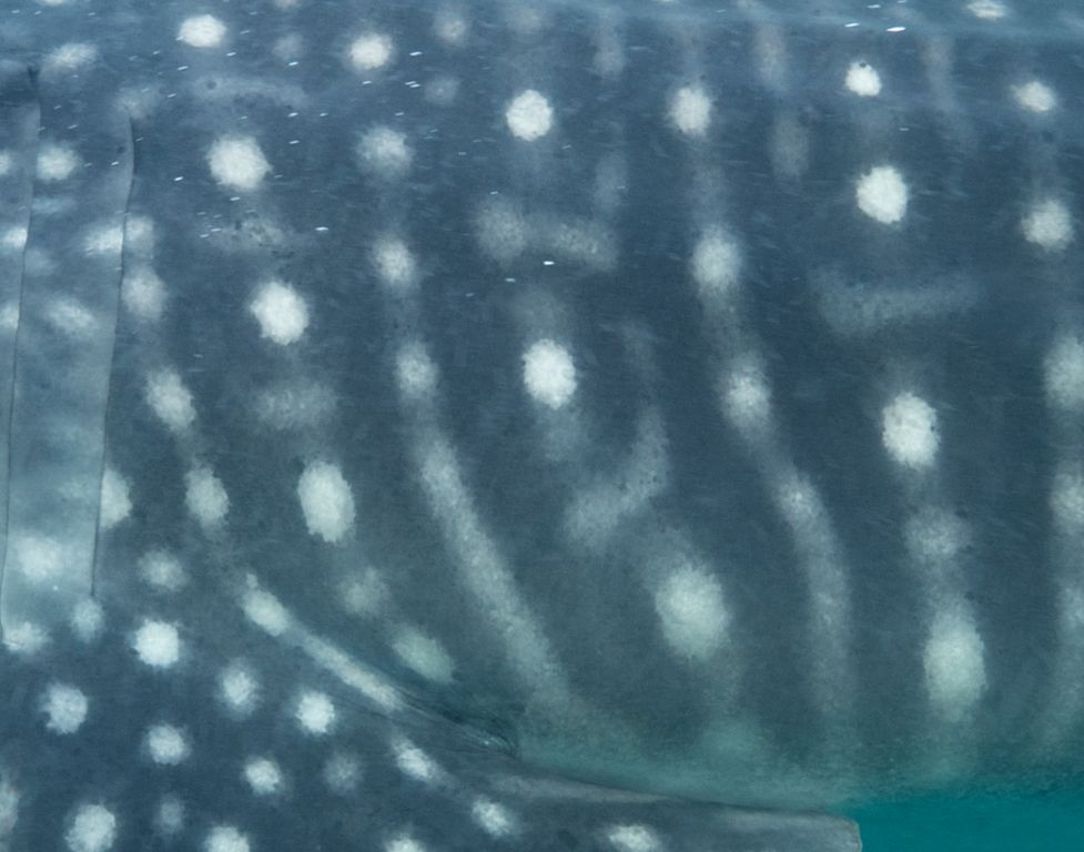 0861b831-648f-4d9e-bc45-015f84a07d95