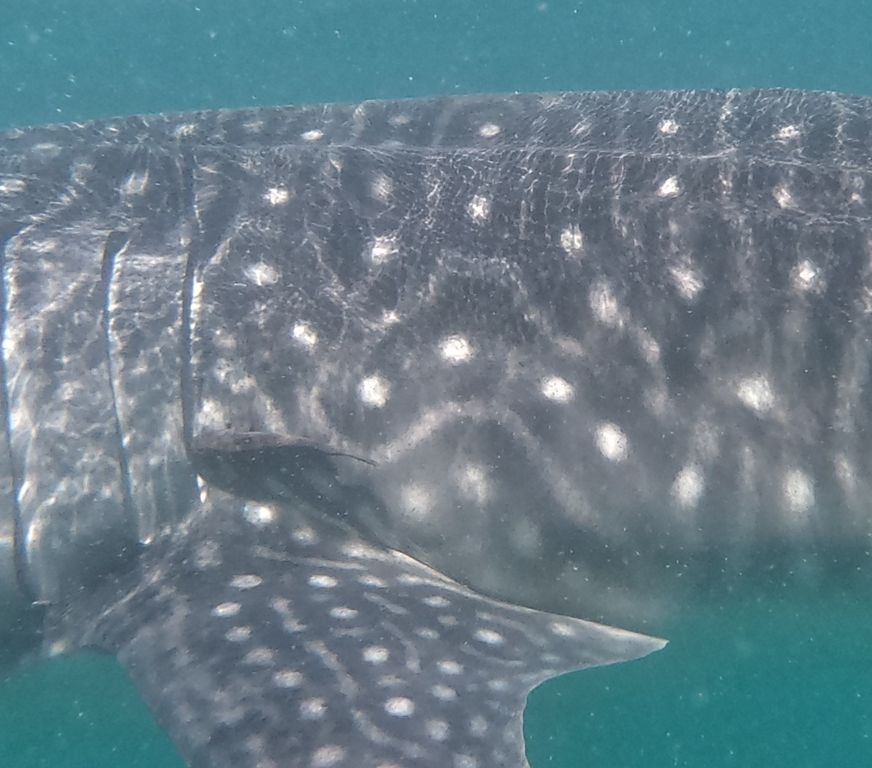 84c15845-3034-45dd-8929-e98517e37a2b