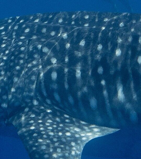 9b79479d-f5a5-4c70-badc-c3bf90b19003