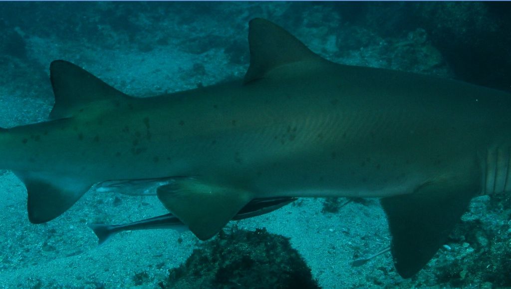 853f6bcd-dcf0-4a22-b213-b62f4ad28113