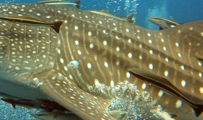 cc30eb75-4244-4d7b-b74f-e031bec84f15