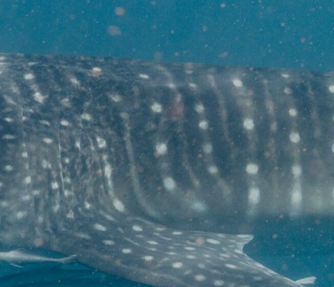 f925834a-f37c-48ac-b9d1-c3992a2010a8