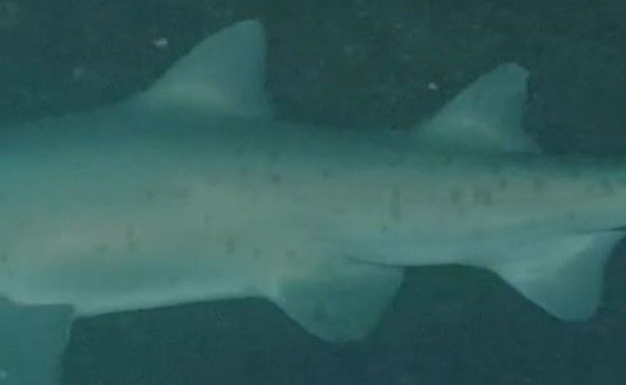 baa70f47-3df0-417a-a4ed-7b9db3a6e1e4