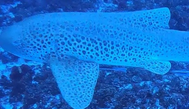 bca42fef-d84a-4ef1-a33a-a37b66d38d1b