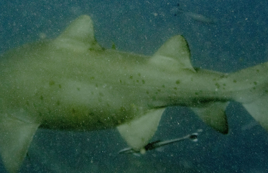 34acc899-6eeb-4f61-85e5-ad64a59fd5ca