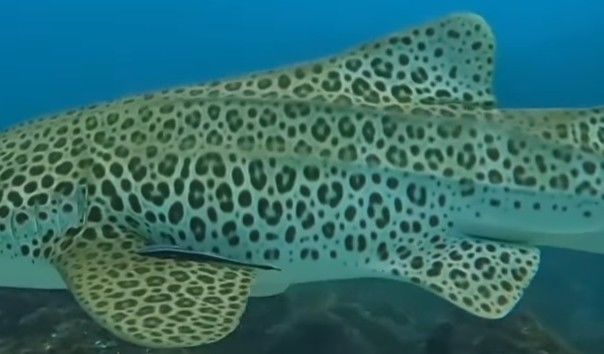 d82a9b01-3a0b-4d5b-a223-6a68769535ec