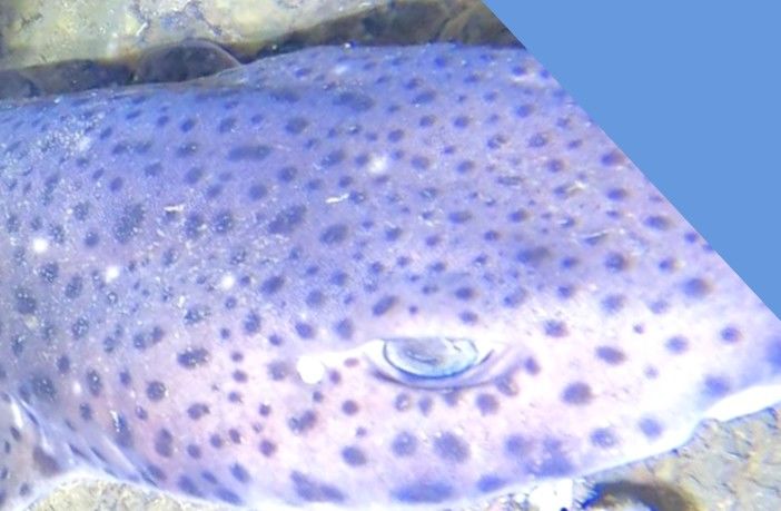 f3dd98bc-d01e-4c12-9b54-a26b2361bc0c