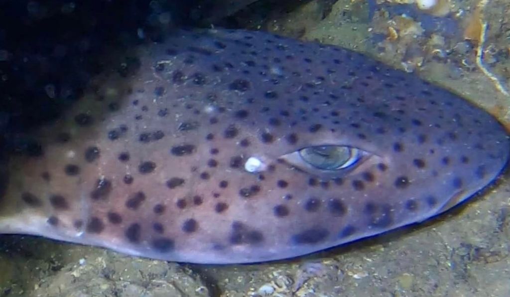 f3dd98bc-d01e-4c12-9b54-a26b2361bc0c