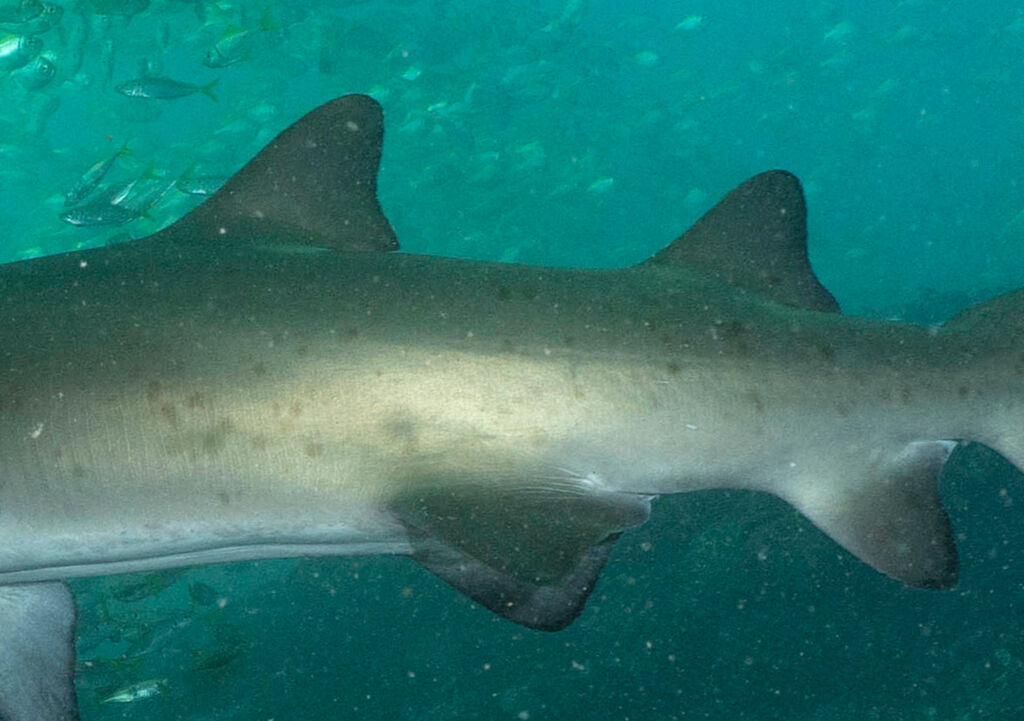 0d79645f-99e1-4f6b-a9d2-9eaf4800c732