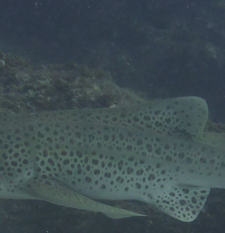 0d8453ce-2d0d-4141-b0dc-d2cb6607209b