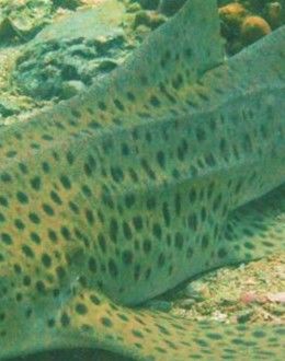 fe4aeac2-89ae-458a-9e30-052c4a5a808c