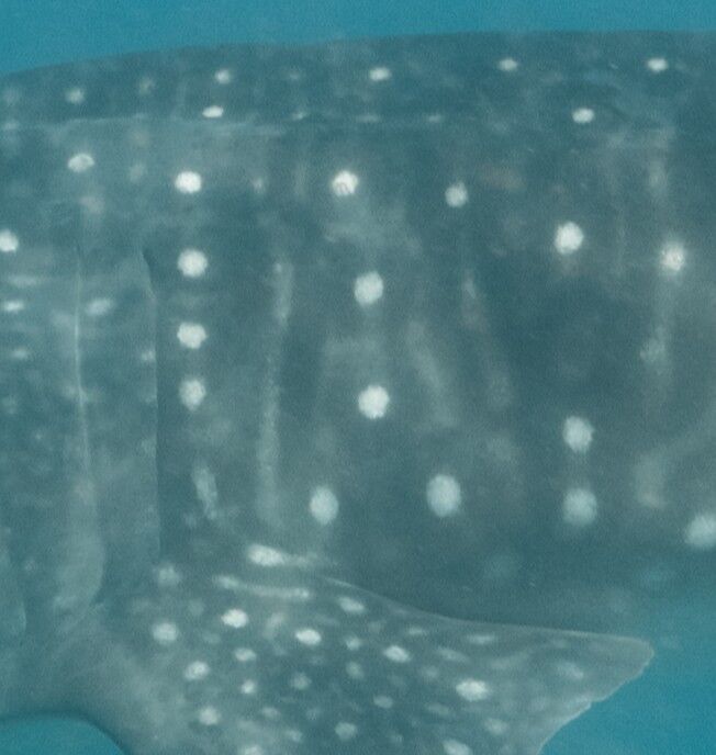 8e49a722-78a0-4201-9c0b-985cddd8f6f3