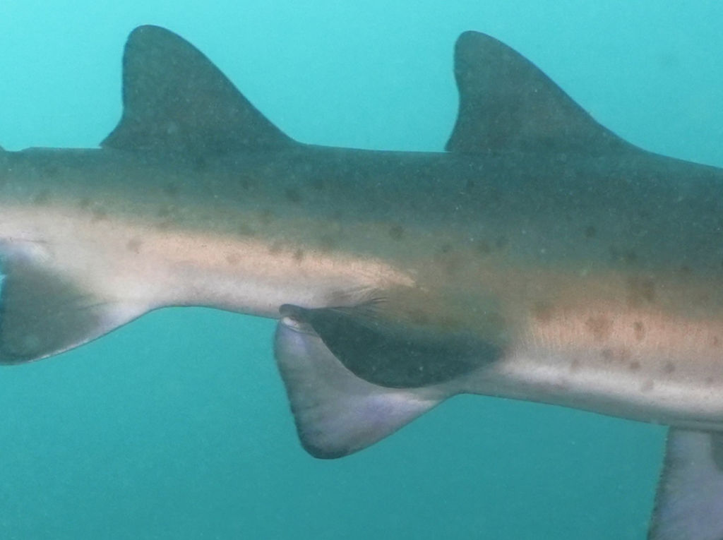 362b7f38-5caf-4319-8a8d-3d1890700297