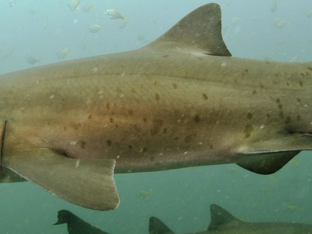 7a2f00a8-8f12-4fb0-bfd0-517225e48a09