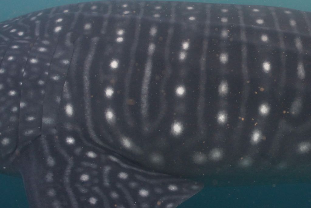 777d5e47-b06e-4e2f-9a6e-5c261cb17f12