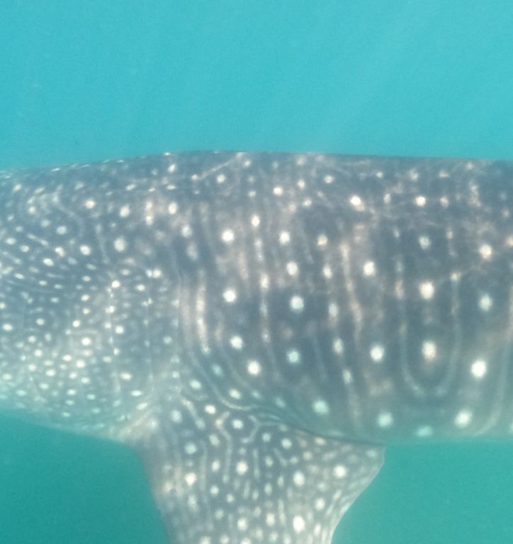 0906fab5-9c5c-4ac5-96b7-a2c3249342b4