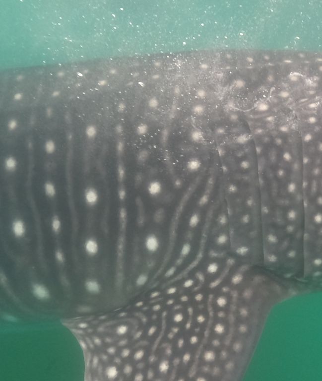 0906fab5-9c5c-4ac5-96b7-a2c3249342b4