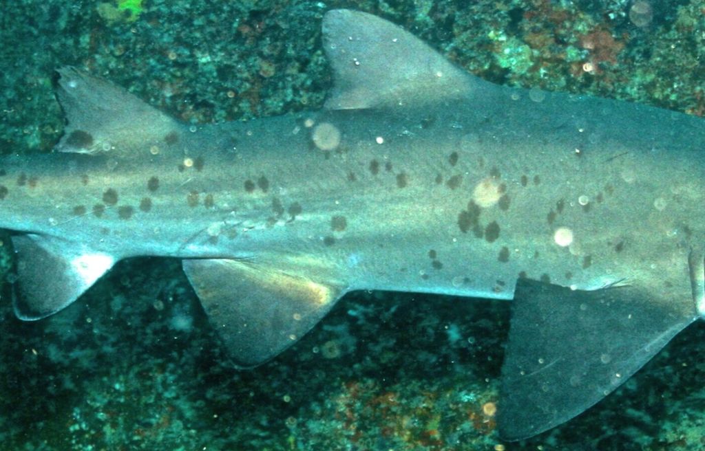 416222da-a5f9-43eb-abf7-a52030798e65