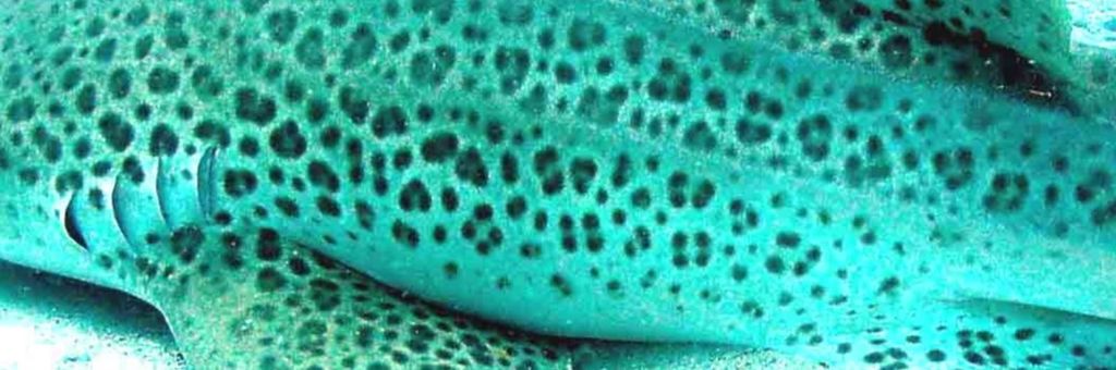 d421adf3-292a-4a83-8daf-349ed05bd5b3