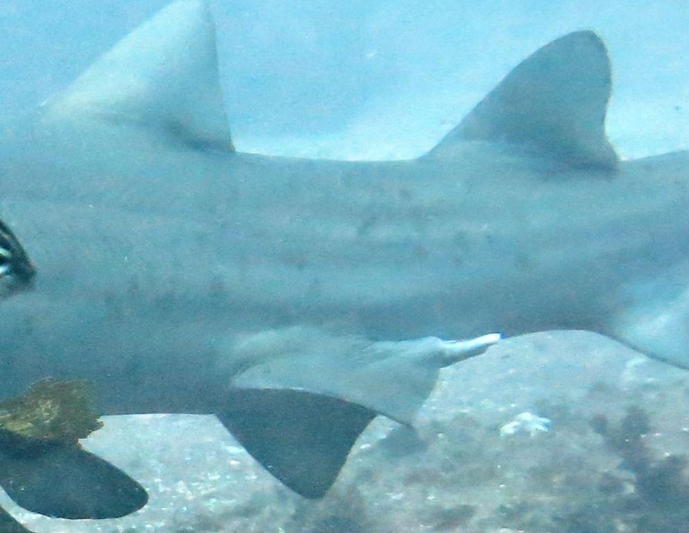 4c5b5824-bfe8-4938-b629-473cf0fb01ce