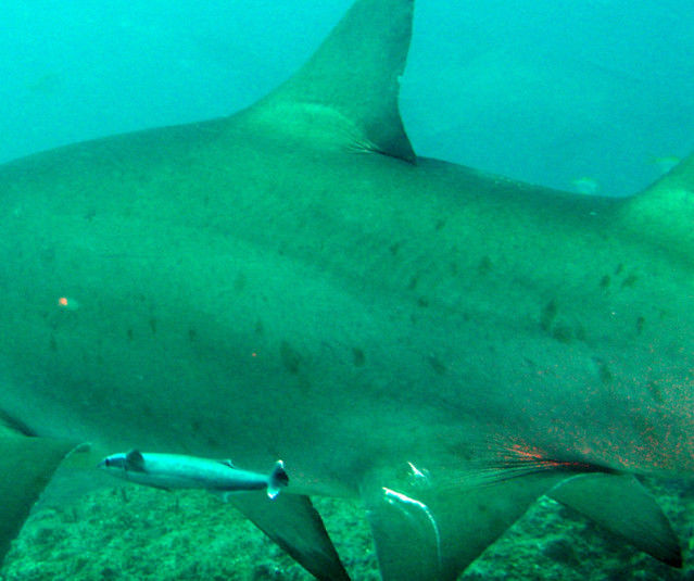 92b2d6b0-fc3e-4fa7-ac24-c0ec96ede542