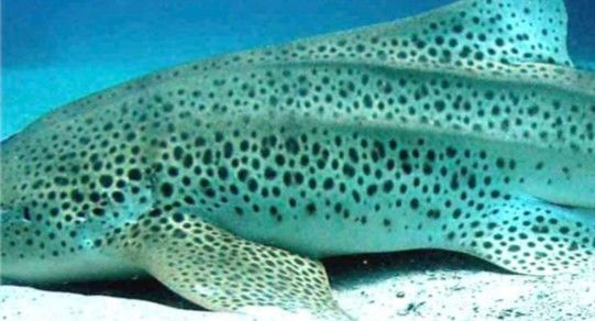 883bbe3c-0817-4ea9-9d56-16ba52d19379