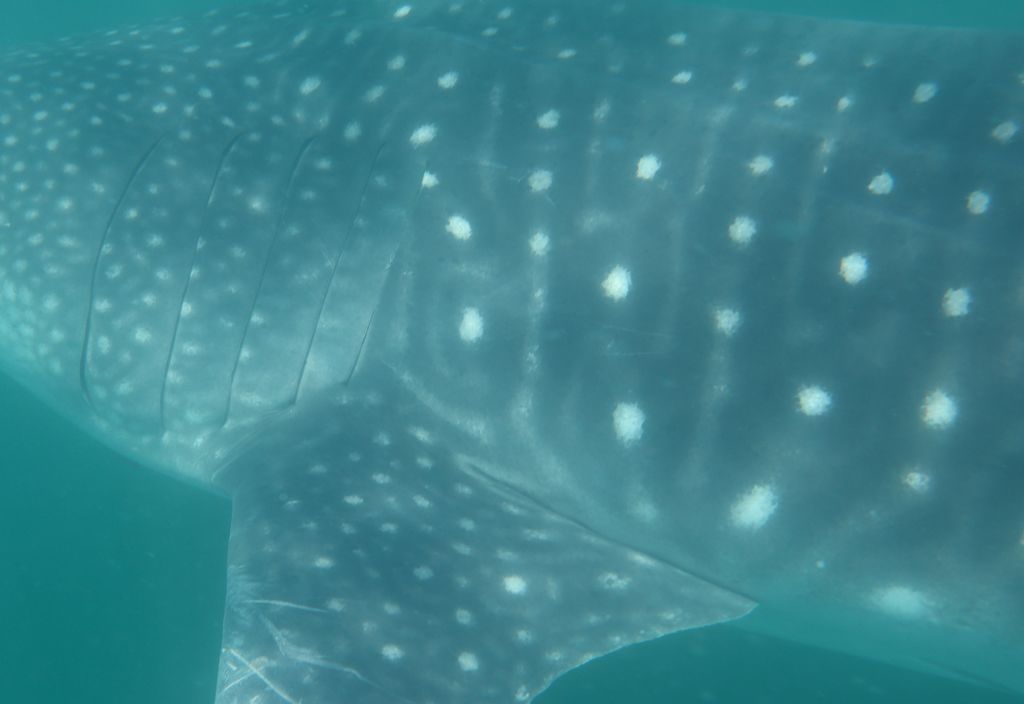 d3d776b9-703a-4f4f-b785-cc2209f714ed